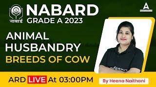 NABARD Grade A 2023 | ANIMAL HUSBANDRY | BREEDS OF COW | By Heena Naithani