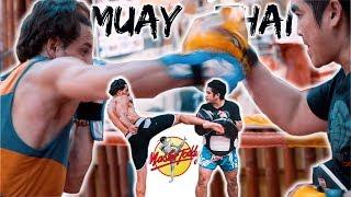 THE BEST MUAY THAI ACADEMY IN THAILAND | MASTER TODDY'S MUAY THAI ACADEMY