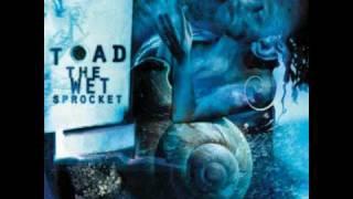 Toad the Wet Sprocket - Crazy Life