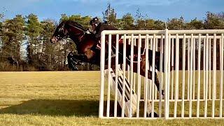 Training a naturally talented horse to jump hurdles.