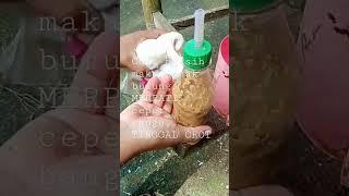 CARA NGASIH MAKAN ANAK BURUNG MERPATI