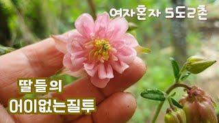 50대 1인가구 브이로그/딸들의 어이없는 질투