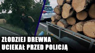 "Skąd ty masz to drewno?". Mężczyzna kłamał policjantom w żywe oczy