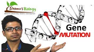 Genetic mutation | gene mutation