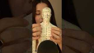 #ASMR Acupuncture doll triggers #relax #tingles #asmrvideos