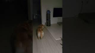 경고한다. 우리집을 즉시 떠나라.