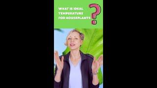  What is the ideal temperature for houseplants? #shorts