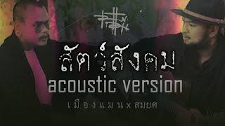 เมืองแมน - สัตว์สังคม 【ACOUSTIC VERSION】