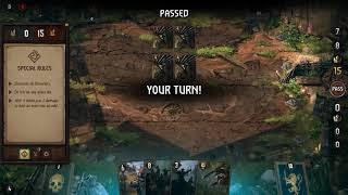 Rushing Waters puzzle - Thronebreaker The Witcher Tales