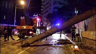 Ураган в Тбилиси: город всю ночь очищали от мусора