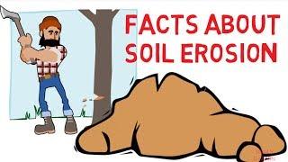 Soil erosion facts - How to prevent soil erosion - Simply E-learn - educational videos for kids