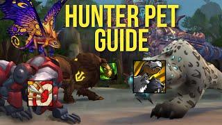 Best Hunter Pets Guide (Patch 11.1) | Max DPS Pet, Utility, Raid, Mythic+ | Every Pet You Need!