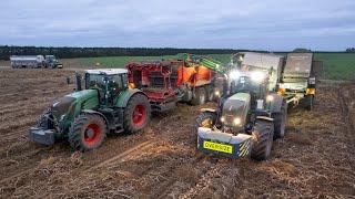 Harvesting Potatoes 4X Fendts & Blum Crop Cart