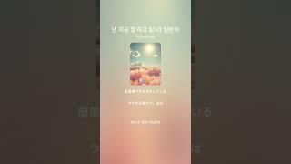 넌 지금 멀 하고 있니? 일본어 푸른설탕 music