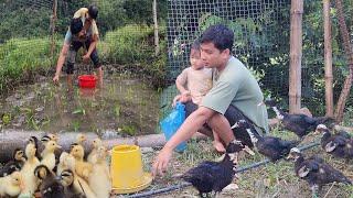 Single father grows vegetables, raises ducks and geese