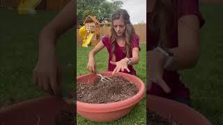 Fix your old potted plants WITHOUT throwing out all your old soil. #pottedplants #planttip