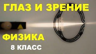 Глаз и зрение