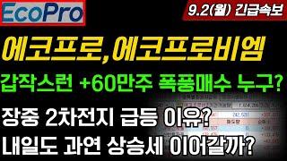 에코프로,에코프로비엠오늘 갑작스런 +60만주 폭풍매수 누구? 2차전지 급등한 이유 2가지! 내일도 이 상승세를 이어갈까? 포스코홀딩스 포스코퓨처엠 에코프로머티