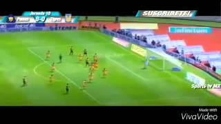 Pumas vs Tigres 1-0 jornada 10 2015