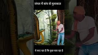 A snake met in jungle || snake video || saamp wala video