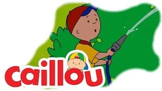 Caillou - Rushing the Raspberry (S05E08) | Cartoon for Kids