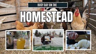Homestead Hustle: Dehydrating Onions, Turkey Broth & Snow Plowing