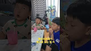 아들 둘이 책으로 노는 법 ㅋ