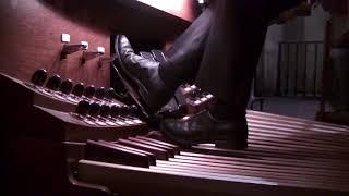 David Briggs performs Brucker's 7th at the Cathedral of St. John the Divine