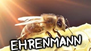 Bienen die Ehrenmänner