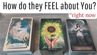 ️‍ How are they FEELING about YOU??!! DETAILED Pick A Card Love Tarot Reading  * Timeless