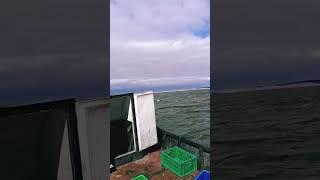 ВНИМАНИЕ! ЧТО ВНУТРИ ВАС!?