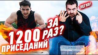 1200 приседаний Давидыча без остановки | это реально?!