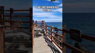 덕봉산해안생태탐방로 #shorts #해안산책로 #덕봉산 #덕산해변 #동해여행 #힐링여행 #korea