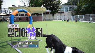 [스카우트 4.0 얼리어잡터_예고]  반려인 1500만 시대! 펫 전문인을 양성하는 ‘한국펫고등학교 편