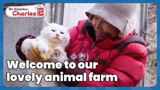 Welcome to our lovely animal farm  [My Neighbor Charles : Ep.381-1] | KBS WORLD TV 230424