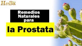 Remedios Naturales para la Prostata │Naturismo Herbol