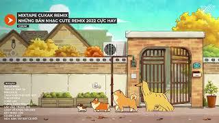 Playlist Nhạc Cute Remix Của Cukak Sẽ Đưa Bạn Về 2022