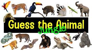 Guess the Animal Sound Game | Jungle Animal Sounds Quiz