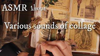 ASMR｜コラージュの色々な音/Various sounds of collage｜sleeping,Relaxing,睡眠,作業