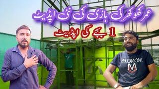 umer Khokhar 1 baje ki update || Khokhar pigeons club || haider pigeon club || kabootar lovers