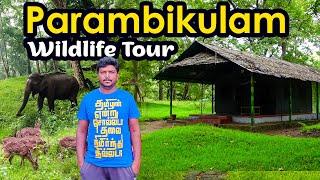 பரம்பிக்குளம் மிஸ் பண்ணக் கூடாத சுற்றுலா தலம் Parambikulam Wildlife Tourism I Village Database
