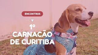 1º CarnaCÃO de Curitiba - Março 2017 - Organização Meu AUmigo Cão