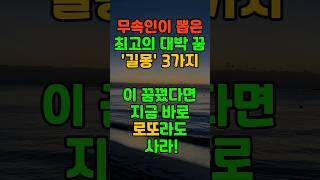 무속인이 인정한 최고의 '길몽' 대박 꿈 3가지