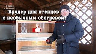 Брудер для птенцов с необычным обогревом!