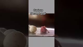 CURIOUS SECOND POST