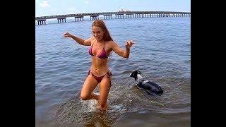 Teaching my Australian Shepherd Puppy how to SWIM!