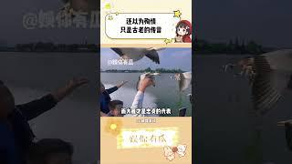 才知道这些动物一直在被我们的刻板印象误解