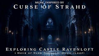 Exploring Castle Ravenloft | Unofficial Curse of Strahd Soundtrack | 1h Dark Background Music | Loop