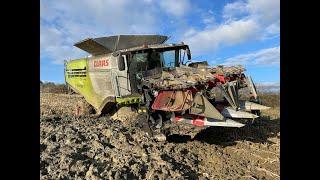 la moisson de maïs finit en beauté. On a planté la machine! SARL garnier