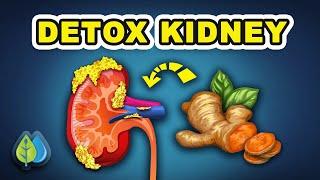 Absolutely BEST Foods to Detox Your Kidneys | 10 Foods Cleanse Kidneys